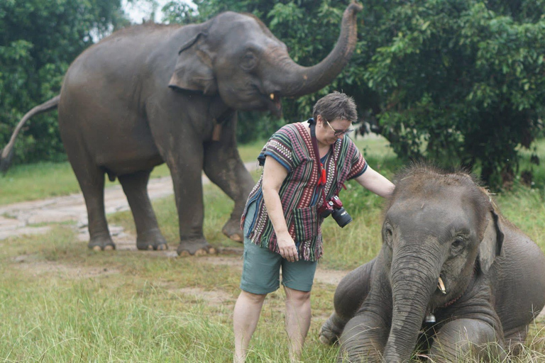Chiang Mai: Ethical Elephant Experience - Transfer Options A : Meeting Point Feeding, Walk with Elephants (No Transfer)