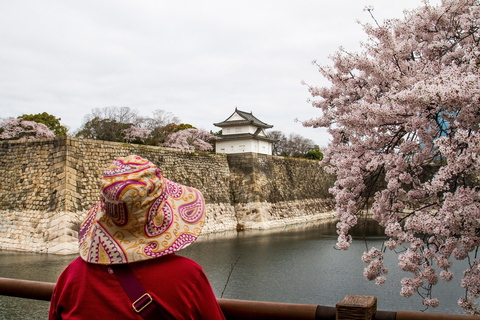 Osaka: Osaka Castle & Samurai History Walking Tour Small Group Tour with Entrance fee