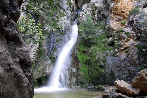 Mallorca: Shared Barranc de Biniaraix Gorge Hike Blue Peaks Mallorca - Shared Hiking - Barranc de Biniaraix