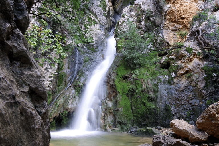 Mallorca: Shared Barranc de Biniaraix Gorge Hike Blue Peaks Mallorca - Shared Hiking - Barranc de Biniaraix
