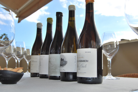 Tenerife: Private Canary Wine Tasting at Your Villa