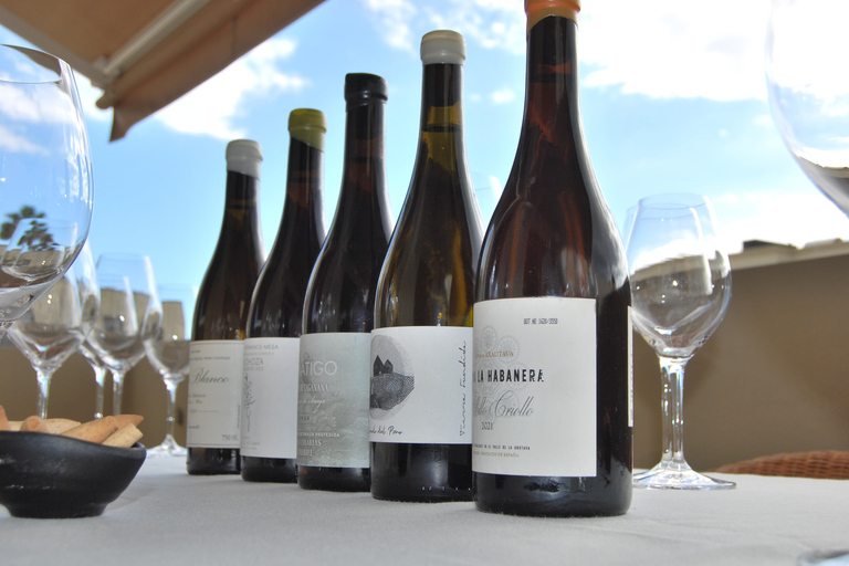 Tenerife: Private Canary Wine Tasting at Your Villa