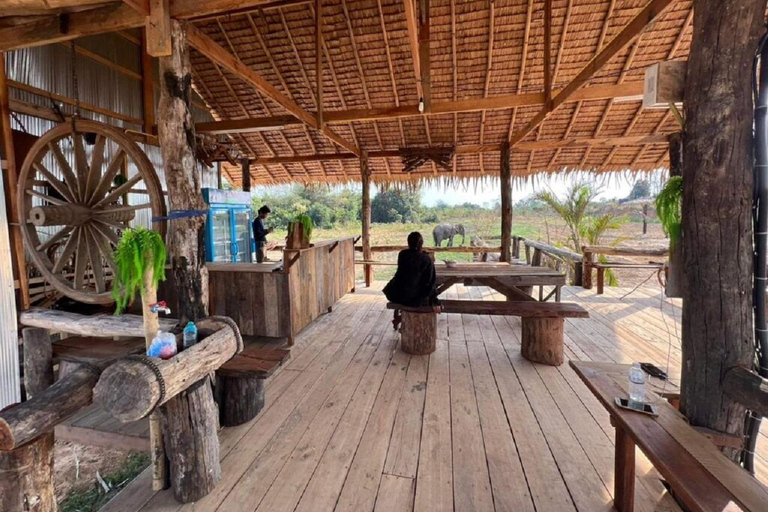 Visita al Santuario de Elefantes de Camboya y al Templo de Banteay Srey