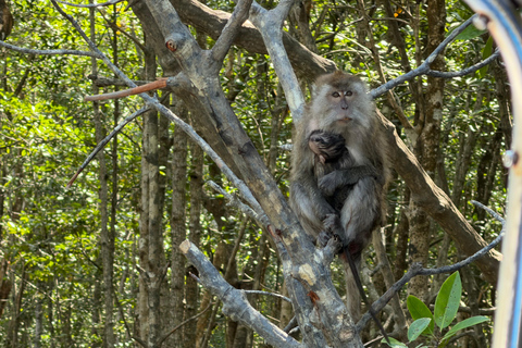 Langkawi: Private Island Tour with Cable Car & Mangrove
