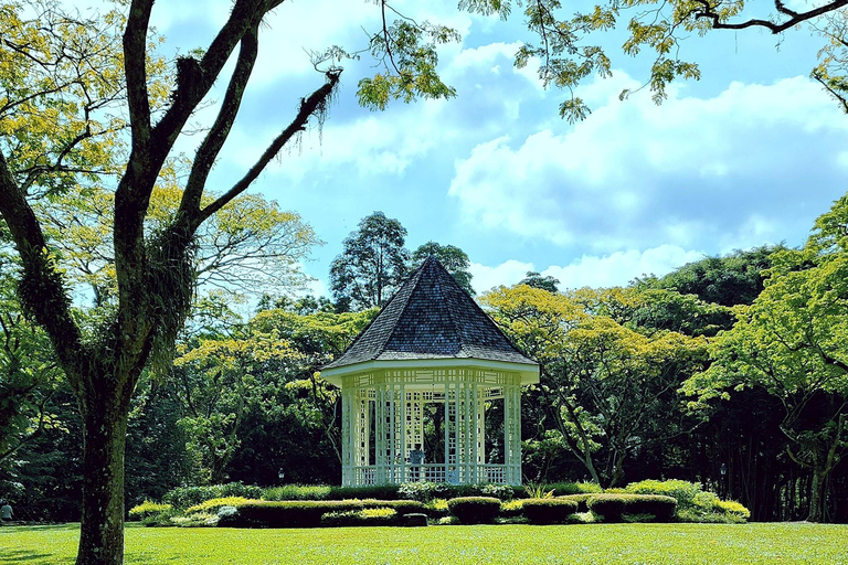 Singapore: Unravel Hidden Gems in a Private Customized Tour Private Customized Tour - 2 hours