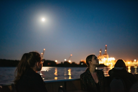 Hamburg: 1,5-stündige Abendlichtrundfahrt durch den Großen Hafen