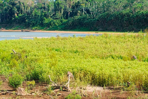 AMAZONAS-ÜBERLEBENSREISEAMAZON-ÜBERLEBENSREISE