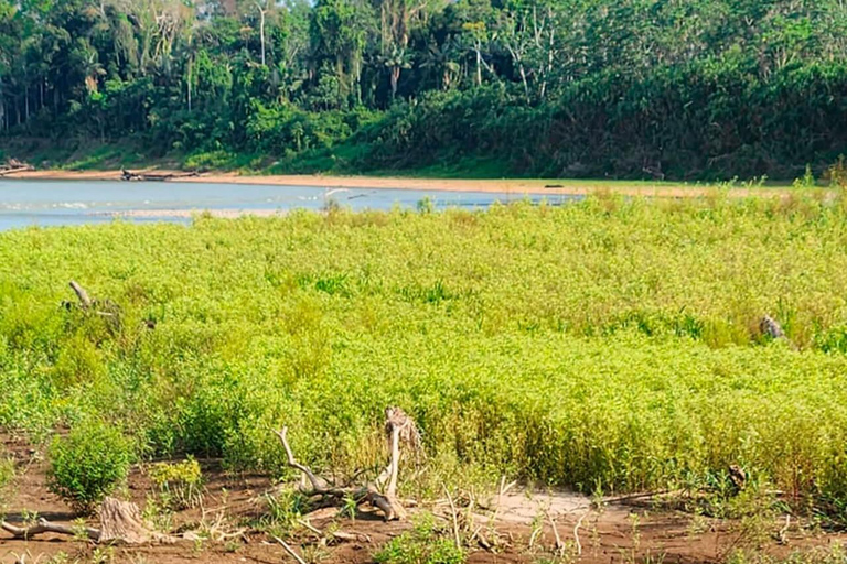 AMAZOŃSKA WYPRAWA SURVIVALOWAAMAZONSKA WYPRAWA PRZETRWANIA