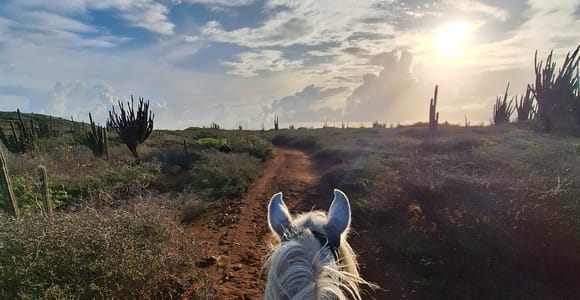 Sunset Horseback ride 1 1/2 hours