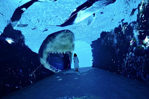 Shanghai: Space & Time Cube Metaverse Experience Ticket
