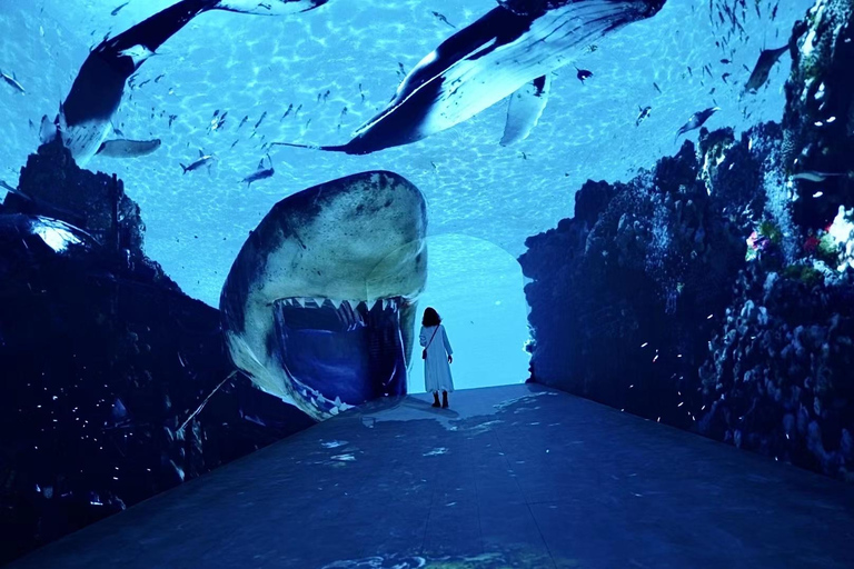 Shanghai: Space & Time Cube Metaverse Experience Ticket