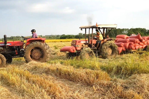 Hue: Village Cycling or Tractor Ride, Farming& Cooking Class Hue: Bicycle Countryside Tour with Cooking Class