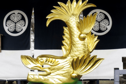 2.5-Hour Nagoya Tour: Castle History, Local Food & City View