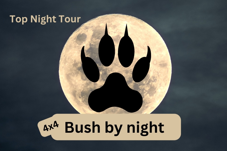 Cataratas Victoria: 4x4 Bush by Night DrivePaseo nocturno privado en 4x4