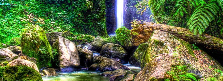 Dumaguete : excursion d'une journée au camp forestier et aux chutes de Casaroro