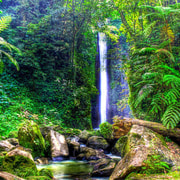 Dumaguete: Forest Camp and Casaroro Falls Day Trip Dumaguete: Forest Camp and Casaroro Falls Day Trip