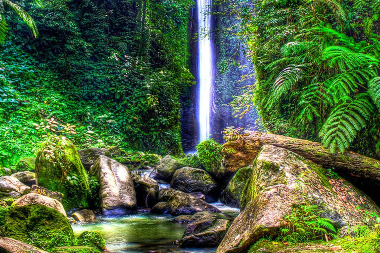 Dumaguete: Tagestour zum Waldcamp und zu den Casaroro-Wasserfällen