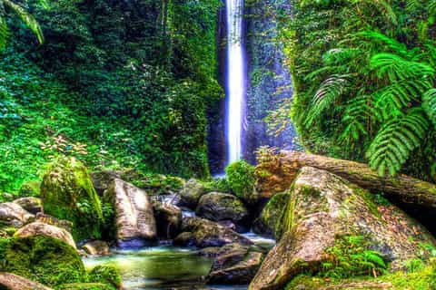 Dumaguete: Forest Camp and Casaroro Falls Day Trip - Image 3
