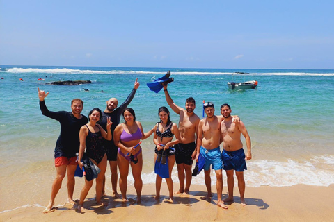 Mirissa: Private Eco Turtle Snorkelling Tour & Photography
