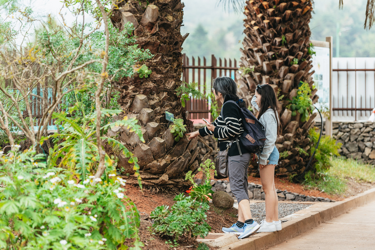 Ab Süd-Teneriffa: Tour nach La Gomera