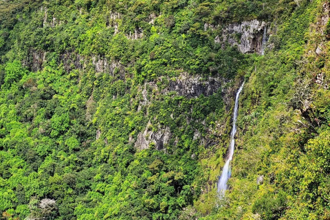 Mauritius: Dolphin Swim, Lunch & South Island Discovery Tour
