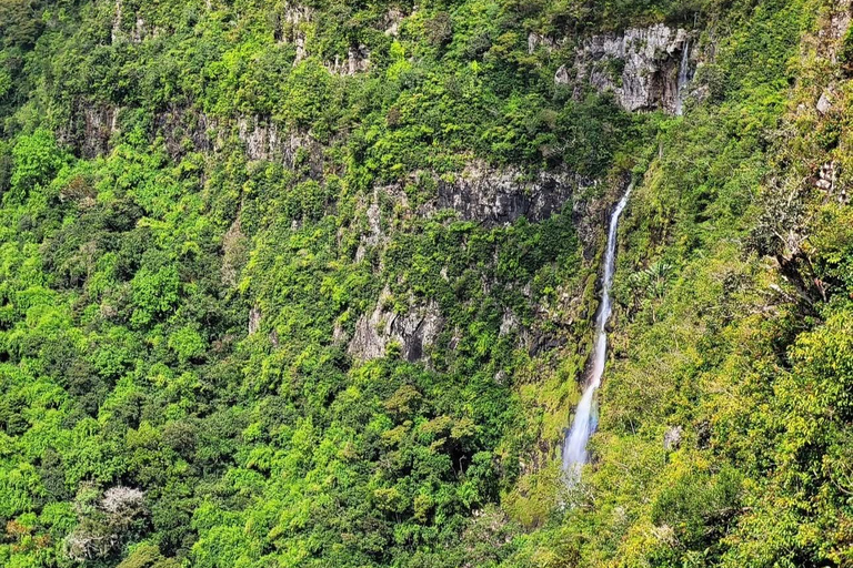 Mauritius: Dolphin Swim, Lunch & South Island Discovery Tour