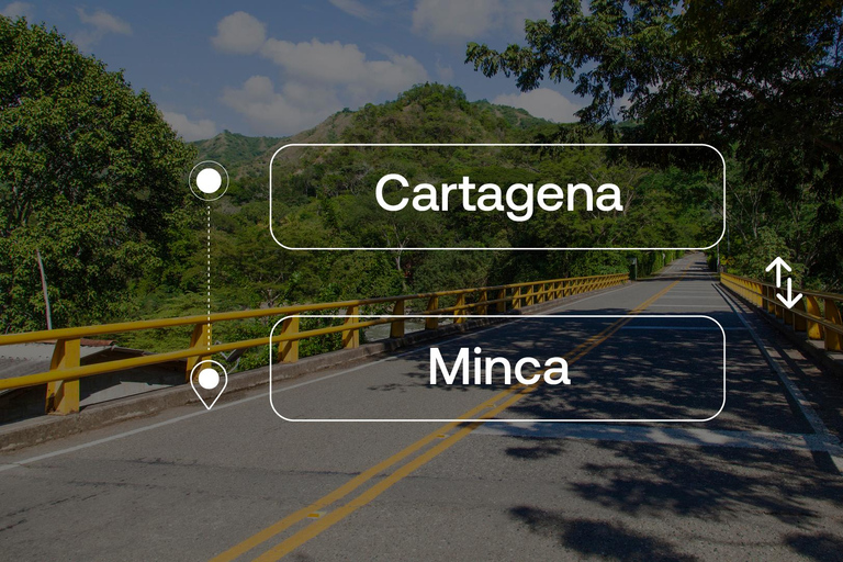 Cartagena desde o hacia Minca Traslado PrivadoDe Minca a Cartagena