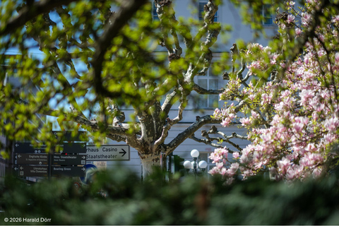 Wiesbaden Downtown: a walking tour about love for and in Wiesbaden