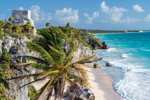 Cancún: Tulum Ruins & Nohoch Cenote Day Trip, AC transport