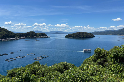 Osaka/Kyoto: Amanohashidate, Ine Bay & Nariaiji Temple Tour From Osaka Meeting Point