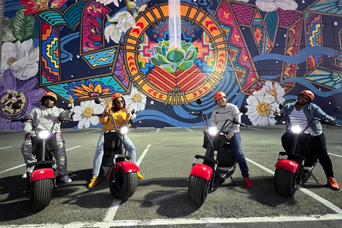 Tour dei murales di Dallas con scooter a ruote grasse