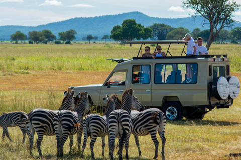 Tanzanie : Safari de 2 jours à Tarangire et au cratère du Ngorongoro