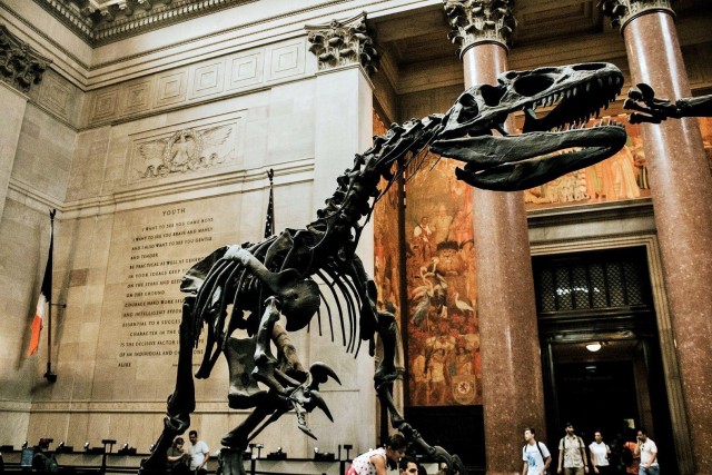 NYC: American Museum of Natural History Ticket & App Guide