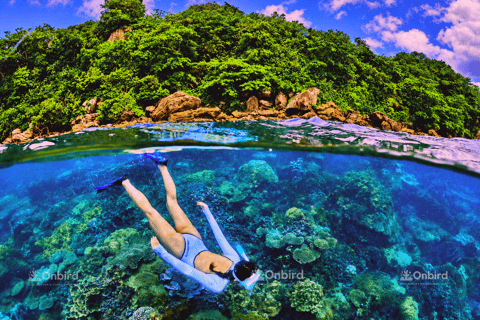 Phu Quoc: Small-Group Snorkeling Hidden Reefs & BBQ - Max 12 - Image 2