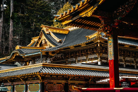 From Tokyo: Onsen, Temples and Nature Day Trip to Nikko - 2026