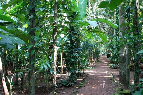 Zanzibar: Spice Farm Private Tour with Lunch & Fruit tasting with a meeting point - No pickup no drop-off