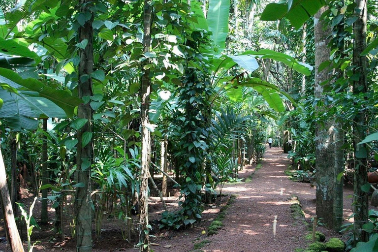 Zanzibar: Spice Farm Private Tour with Lunch & Fruit tasting with a meeting point - No pickup no drop-off