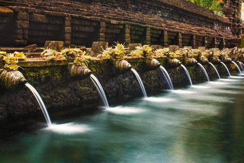 Monkey forest, Rice Terrace, Water Temple & Waterfall tour. Best of Ubud Privat Tour without entrance fee