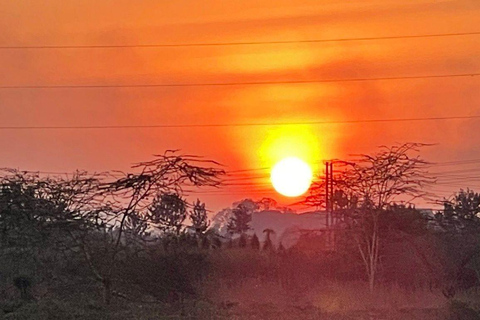 Nairobi: 4 Days epic trip to Amboseli, Tsavo West & East