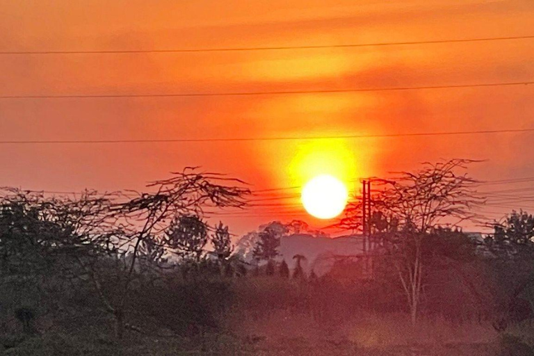 Nairobi: 4 Days epic trip to Amboseli, Tsavo West & East