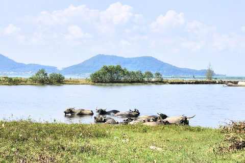 Hai Van Pass Motorbike Tour with Mr T Easy Rider Hai Van Pass Easy Rider: From Hue, Hoi An, Da Nang