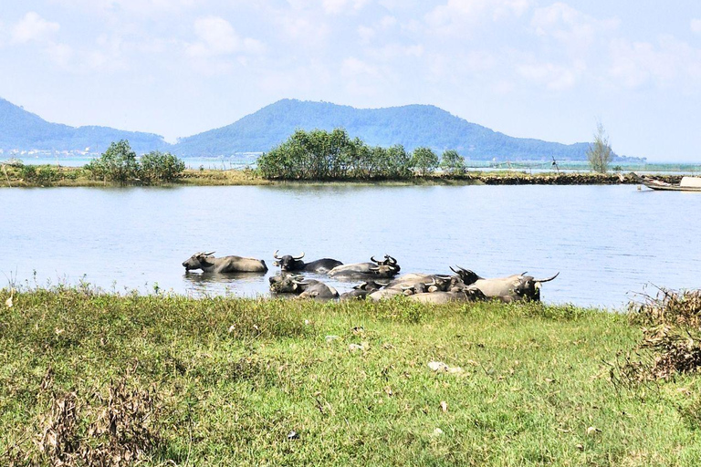 Hai Van Pass Motorbike Tour with Mr T Easy Rider Hai Van Pass Easy Rider: From Hue, Hoi An, Da Nang