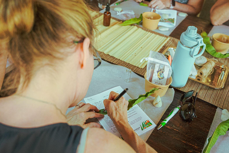 Aruba : Atelier de fabrication de bocaux à l&#039;intention de la faune et de la flore locales