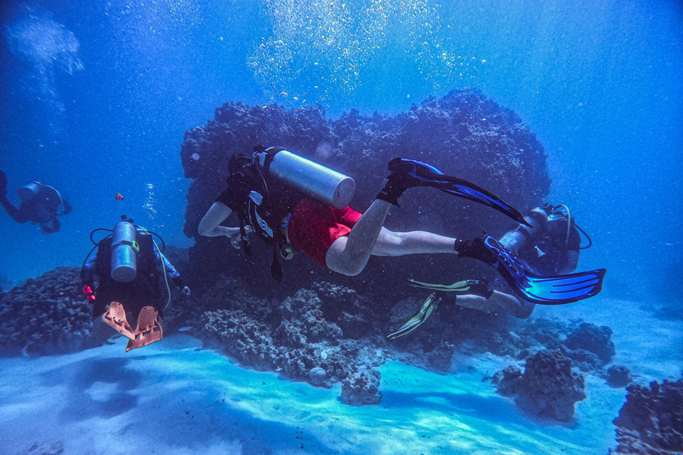 Chania : Essai de plongée sous-marine 2 plongées à terre (recevoir la certification)