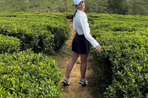 Colombo To Ella Transfer Secret Waterfall & Jungle Adventure