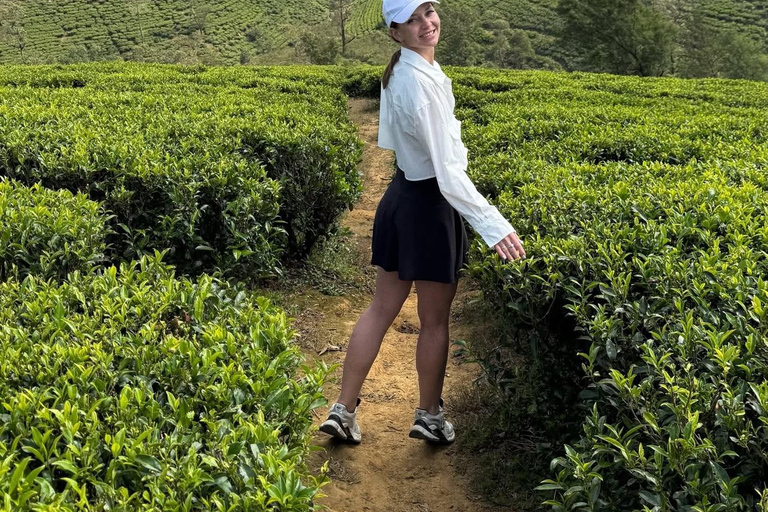 Colombo To Ella Transfer Secret Waterfall & Jungle Adventure