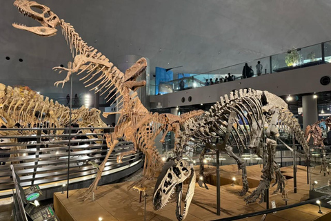 4-Day Cultural Tour from Tokyo to Kanazawa & Fukui 4-Day from Tokyo to Kanazawa & Fukui（No tour guide）