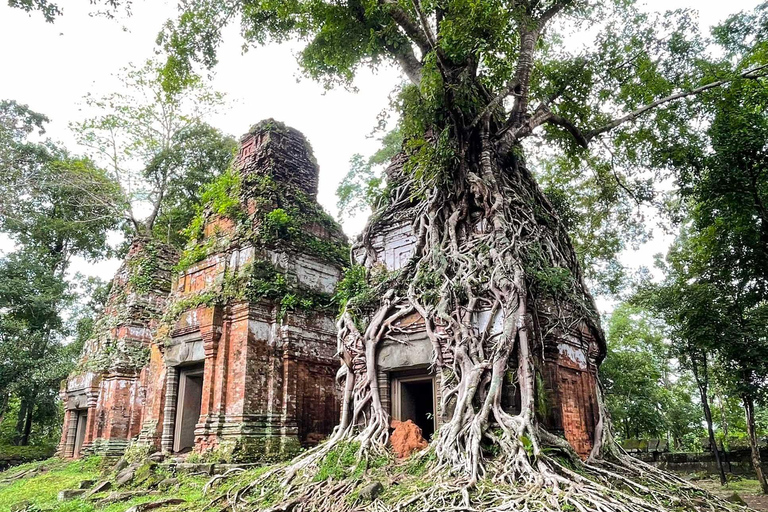 Excursión de un día a los Templos de Beng Melea y Koh Ker desde Siem ReapTemplos de Beng Melea y Koh Ker Vehículo con Conductor