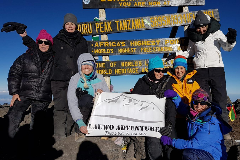 Kilimandscharo-Tagestour