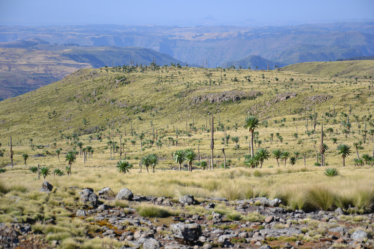 45-Day Ethiopia Tour with Domestic Flights